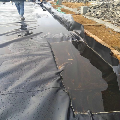 樹根會穿透防滲膜嗎廠家自產自銷