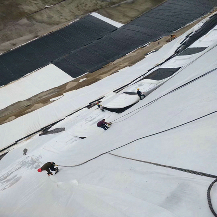 長(zhǎng)沙復(fù)合土工膜廠家 復(fù)合土工膜 防紫外線土工膜