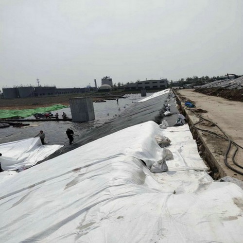 化學(xué)反應(yīng)池防滲用1.0mmHDPE土工膜 0.5mmHDPE土工膜經(jīng)久耐用