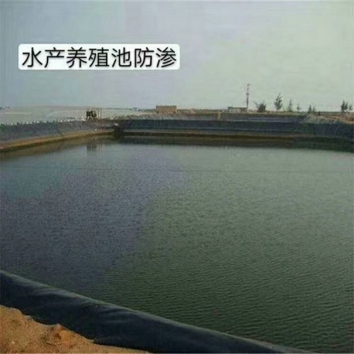 hdpe土工膜焊接 沼氣池防滲膜 單毛面HDPE土工膜