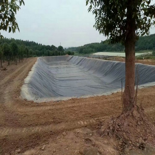 渠道防滲膜 0.9mm土工膜精選廠家