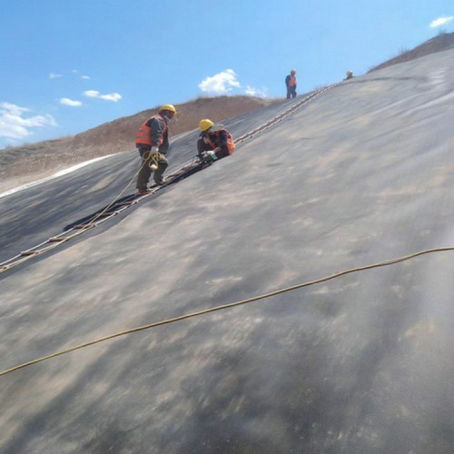 廠區(qū)地坪防滲土工膜 0.75mm防滲膜精選廠家