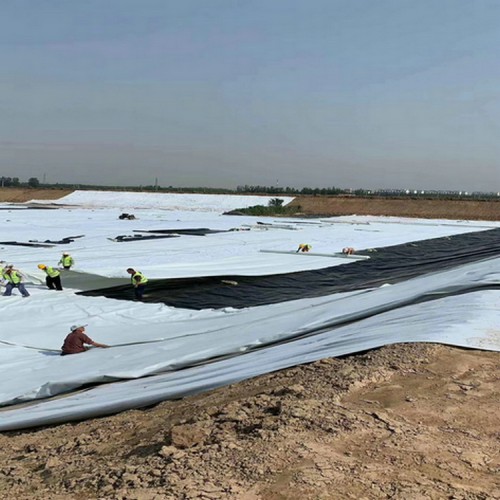垃圾填埋場封場HDPE土工膜覆蓋工程 1.8mmHDPE土工膜源頭生產廠