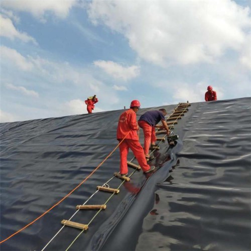 垃圾填埋區(qū)日覆蓋用HDPE土工膜廠家批發(fā)價