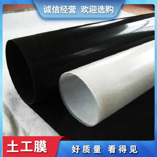 土工膜 山東土工膜 防滲土工膜