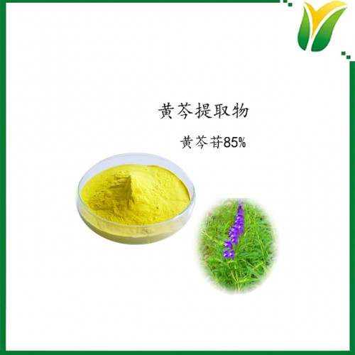 植物提取物 黃芩提取物 黃芩苷85% Baicalin