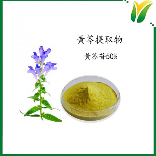 黃芩提取物 植物提取物 黃芩甙50%