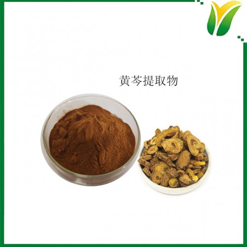 黃芩提取物10:1 植物提取物