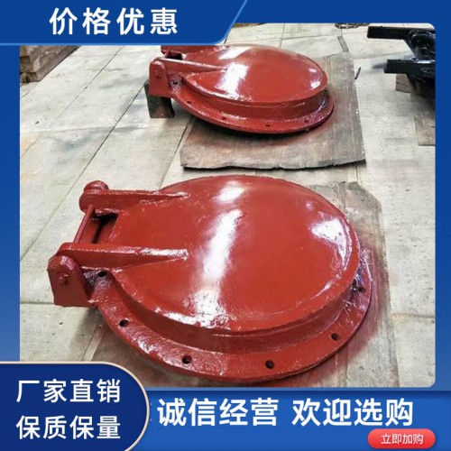 鋼制拍門(mén) 不銹鋼拍門(mén) 廠(chǎng)家