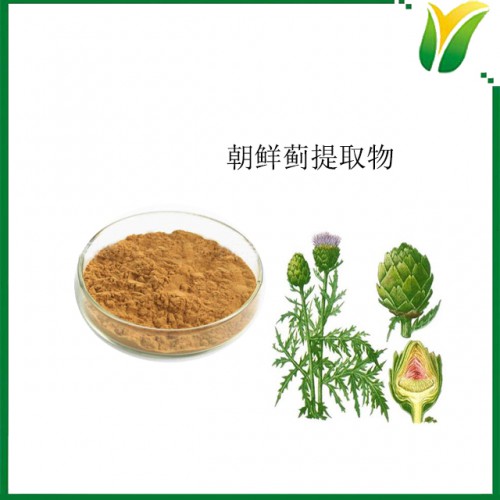 植物提取物 朝鮮薊提取物 洋薊酸3% 菜薊萃取物