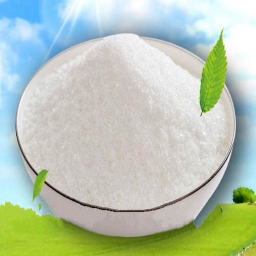 陰離子聚丙烯酰胺