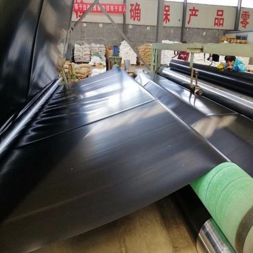 土工膜 魚塘水池荷花池防水土工膜