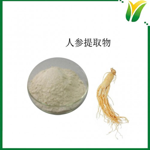 人參提取物 人參皂苷10% UV 人參皂甙 人參萃取粉
