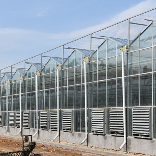 國聚溫室 現(xiàn)代溫室大棚現(xiàn)貨供應商 溫室大棚建設廠家