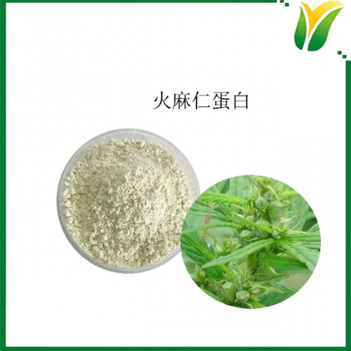 火麻仁蛋白 蛋白含量50% 植物蛋白 火麻仁蛋白質粉