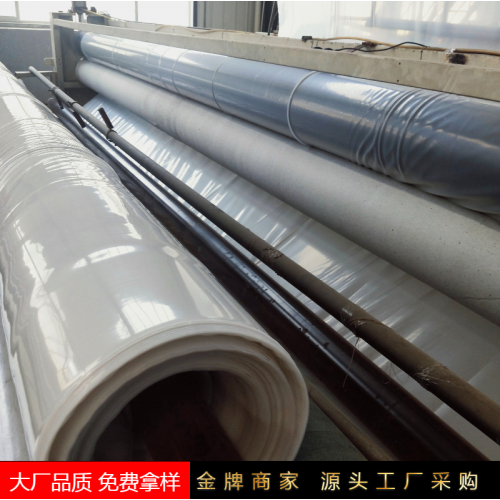 土工膜實(shí)力廠家 山東防滲膜