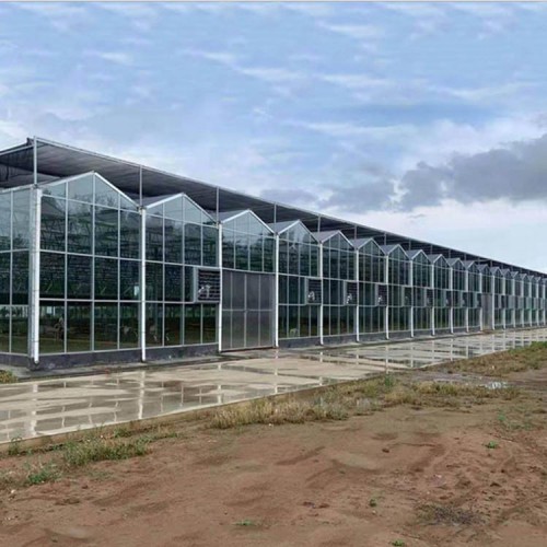大型溫室大棚工程 建設溫室大棚優(yōu)選國聚溫室 溫室大棚材料