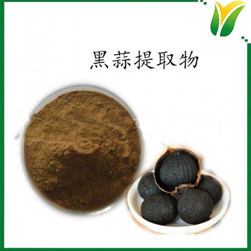黑蒜提取物10：1 發酵黑蒜 植物提取物