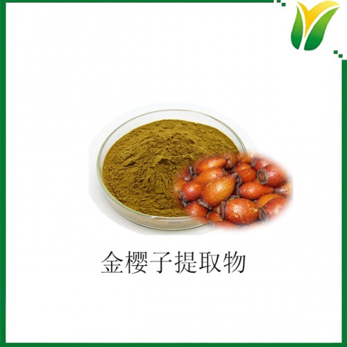 金櫻子提取物5:1 刺榆子提取物 植物提取物