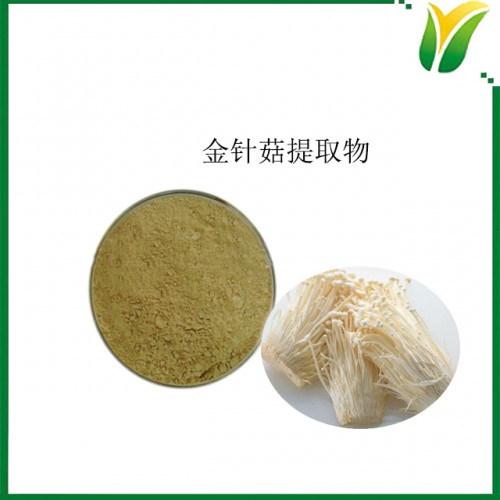 金針菇提取物10：1 構菌提取粉 植物提取物