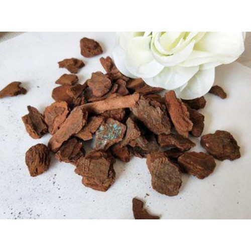 鐵皮石斛盆栽專用松樹皮  河南宏瑞松樹皮功效