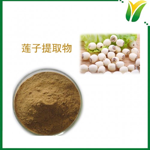 蓮子提取物 多糖50% 藕實萃取物粉 植物提取物