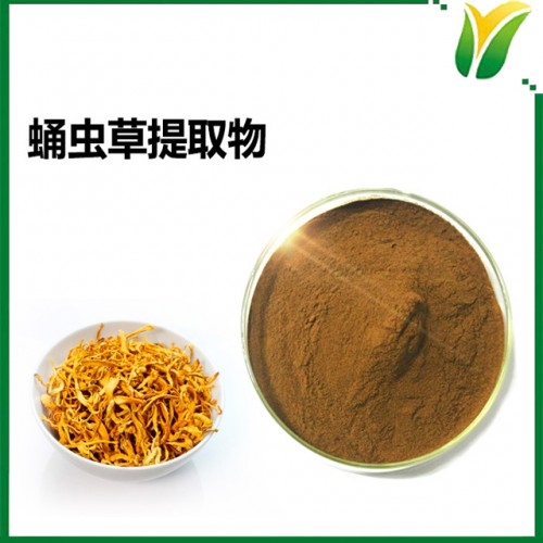 蛹蟲(chóng)草提取物   北冬蟲(chóng)草植物提取物 蛹草多糖50%