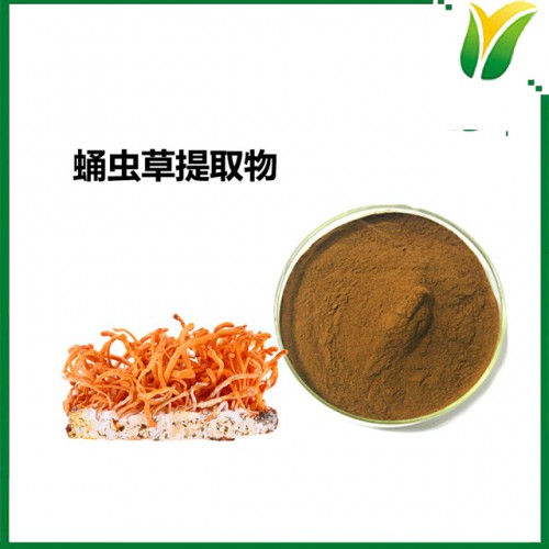 蛹蟲(chóng)草提取物 蛹蟲(chóng)草多糖30% 植物提取物