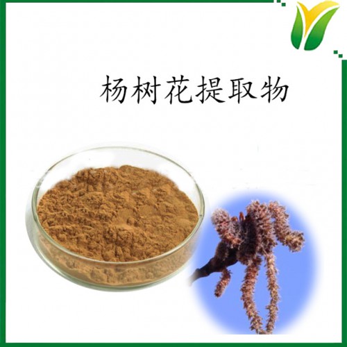 楊樹(shù)花提取物10：1 比例萃取粉 植物提取物