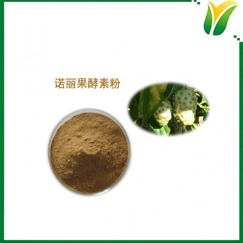 諾麗果酵素粉 諾麗果粉 諾麗果漿酵素粉