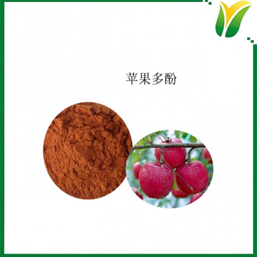 蘋(píng)果多酚10% 蘋(píng)果提取物 植物提取物