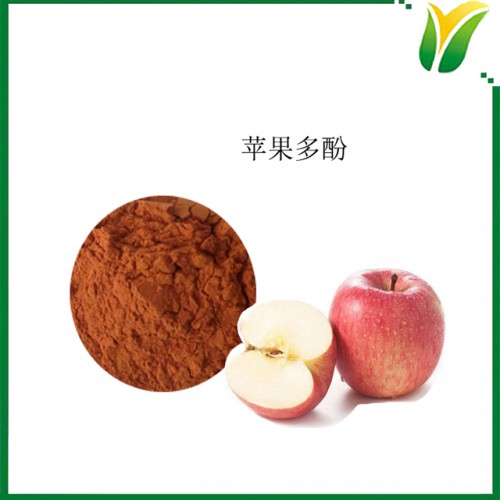 蘋(píng)果提取物 蘋(píng)果多酚粉 蘋(píng)果多酚80% 植物提取物