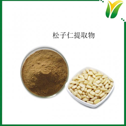松子仁提取物10:1 植物提取物 松子仁濃縮粉