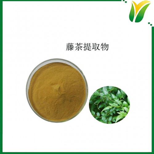 藤茶提取物 二氫楊梅素20% 植物提取物