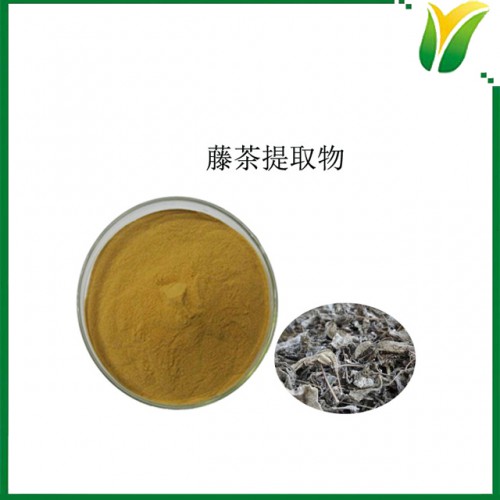 藤茶提取物 植物提取物 二氫楊梅素40% 白蘞素