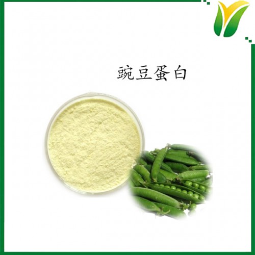 豌豆蛋白粉 豌豆蛋白質(zhì)粉80%代餐粉營養(yǎng)補充劑 植物提取物