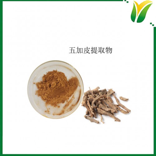 五加皮提取物5:1 細(xì)柱五加萃取粉 植物提取物