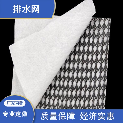 排水網 復合排水網 高強度復合排水網 三維復合排水網廠家