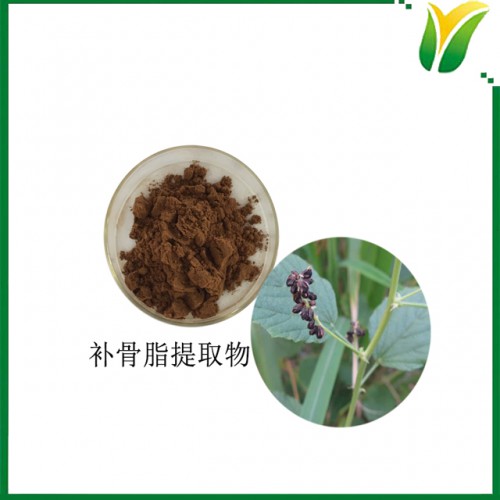 補骨脂取物 補骨脂比例萃取粉 植物提取物