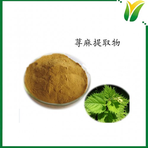 蕁麻提取物5:1 蜇人草提取物  植物提取物