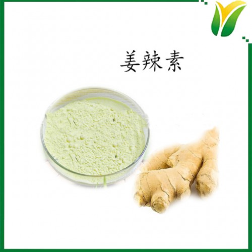 生姜提取物 姜辣素5% 植物提取物