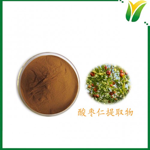 酸棗仁提取物 酸棗仁皂甙2% 植物提取物