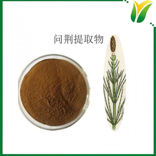 問荊提取物10:1 節節草提取物 植物提取物
