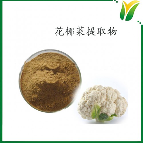 花椰菜提取物10:1   甘藍花椰菜粉植物提取物