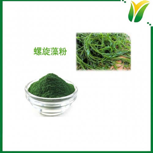 螺旋藻粉 節旋藻原粉 植物提取物