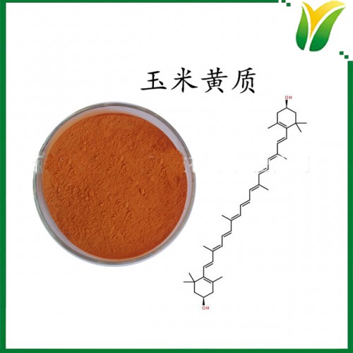 萬壽菊提取物 玉米黃質5% 植物提取物