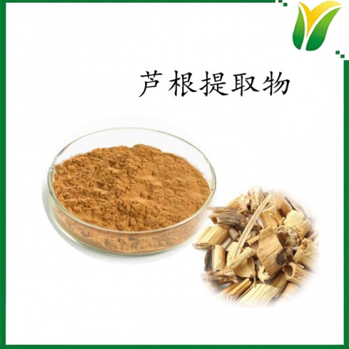 蘆根提取物5：1 鮮蘆根比例提取粉 植物提取物