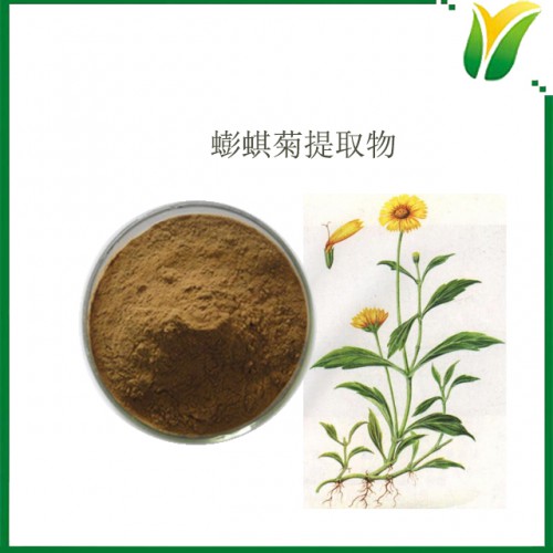 蟛蜞菊提取物 蟛蜞菊內(nèi)酯10% 植物提取物