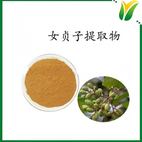 女貞子提取物5：1 女貞實(shí)比例提取粉  植物提取物