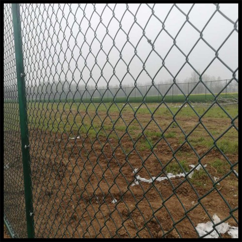 廣州體育場圍網 果園圍網